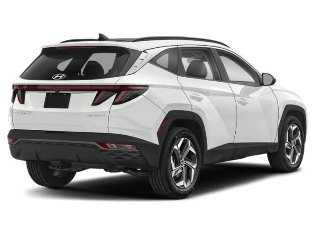 Used 2024 Hyundai Tucson SEL Convenience with VIN KM8JCCD15RU191318 for sale in Minneapolis, Minnesota