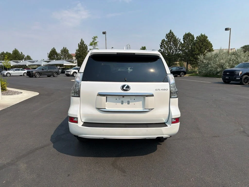 Used 2023 White Lexus 460 image 4