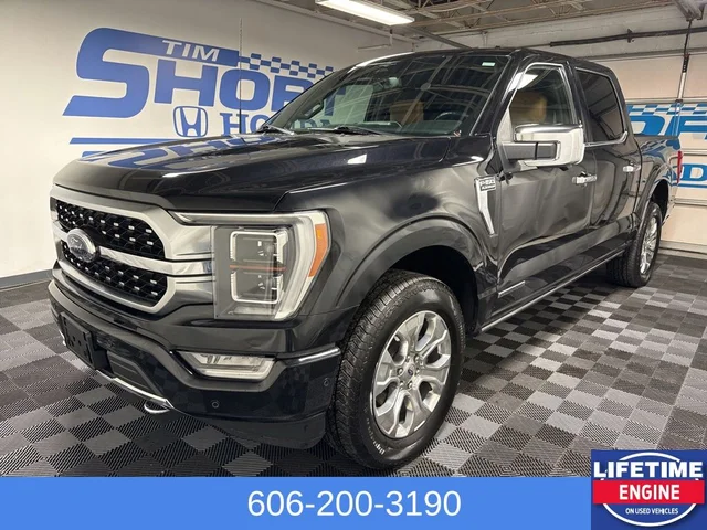 2023 Ford F-150 Platinum