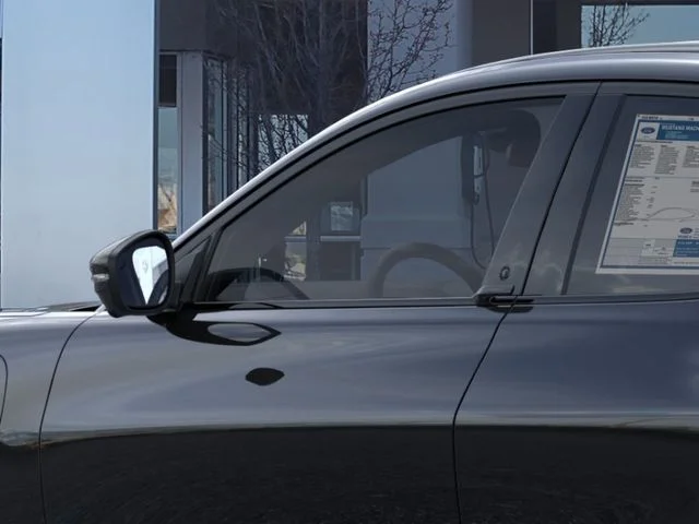 New 2026 Shadow Black Ford Premium image 20