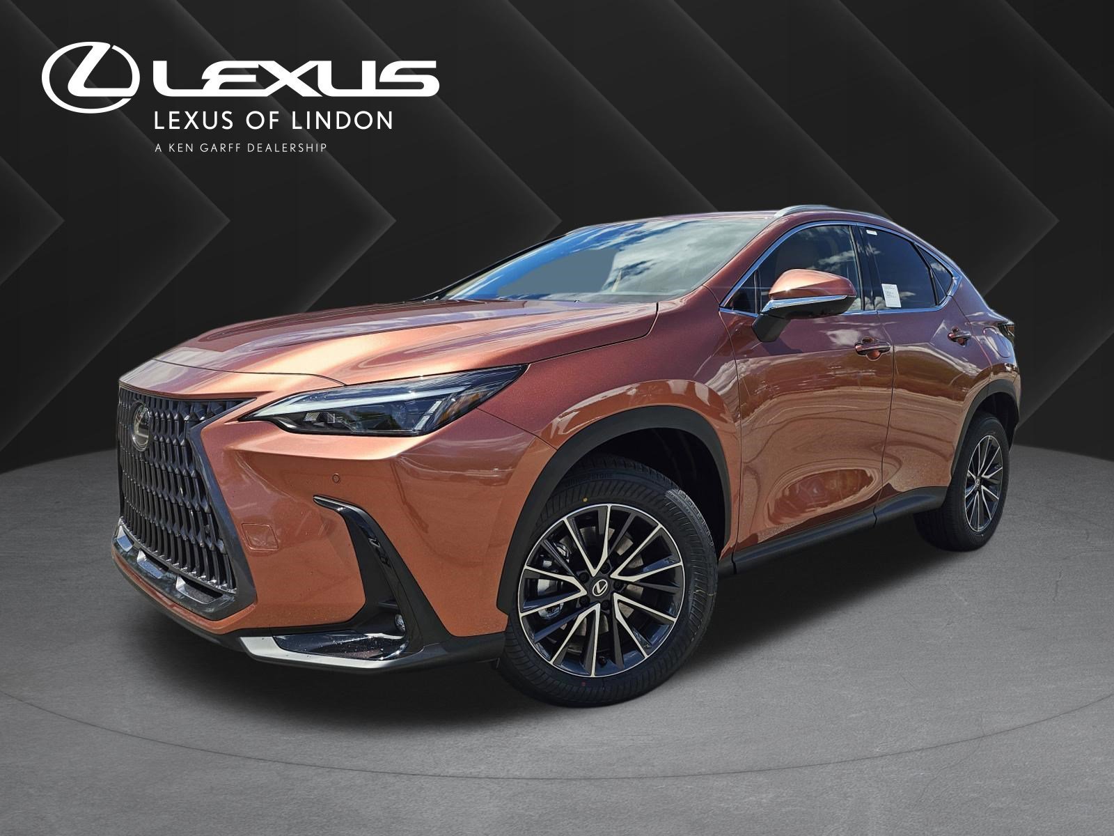 2026 Lexus NX 350h 350h Premium AWD's photo
