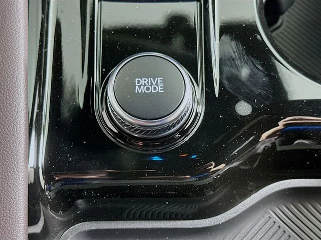 New 2026 White Ford Platinum image 21