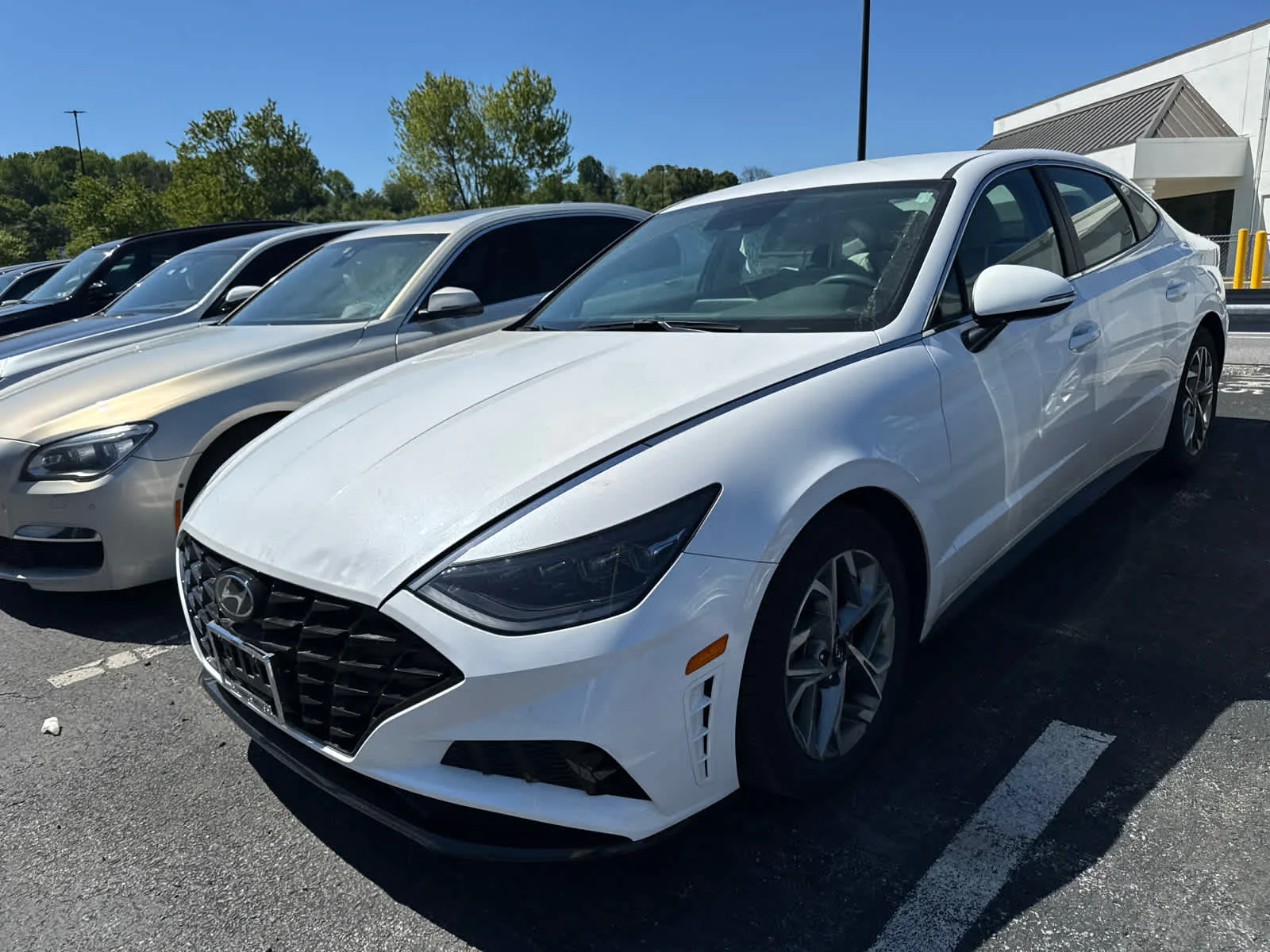 Used 2023 Serenity White Hyundai SEL image 6