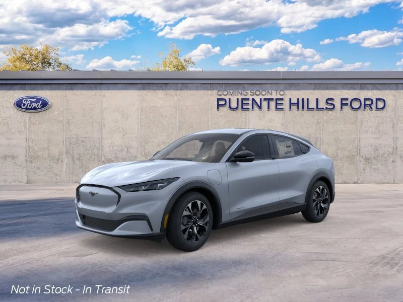 New 2026 Gray Ford Select image 1