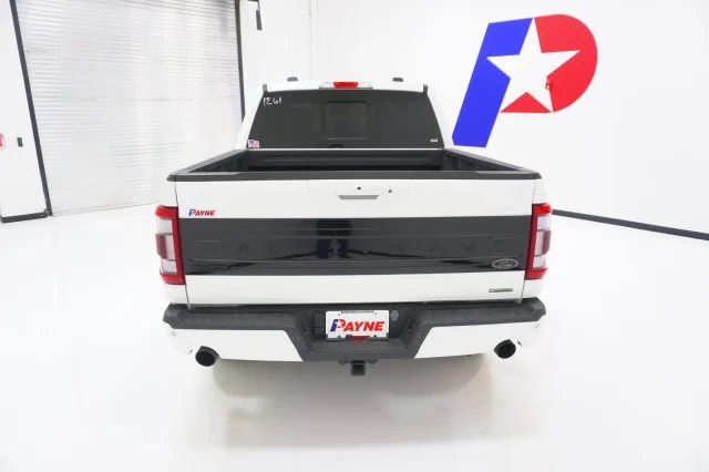 Used 2023 WHITE Ford Platinum image 7