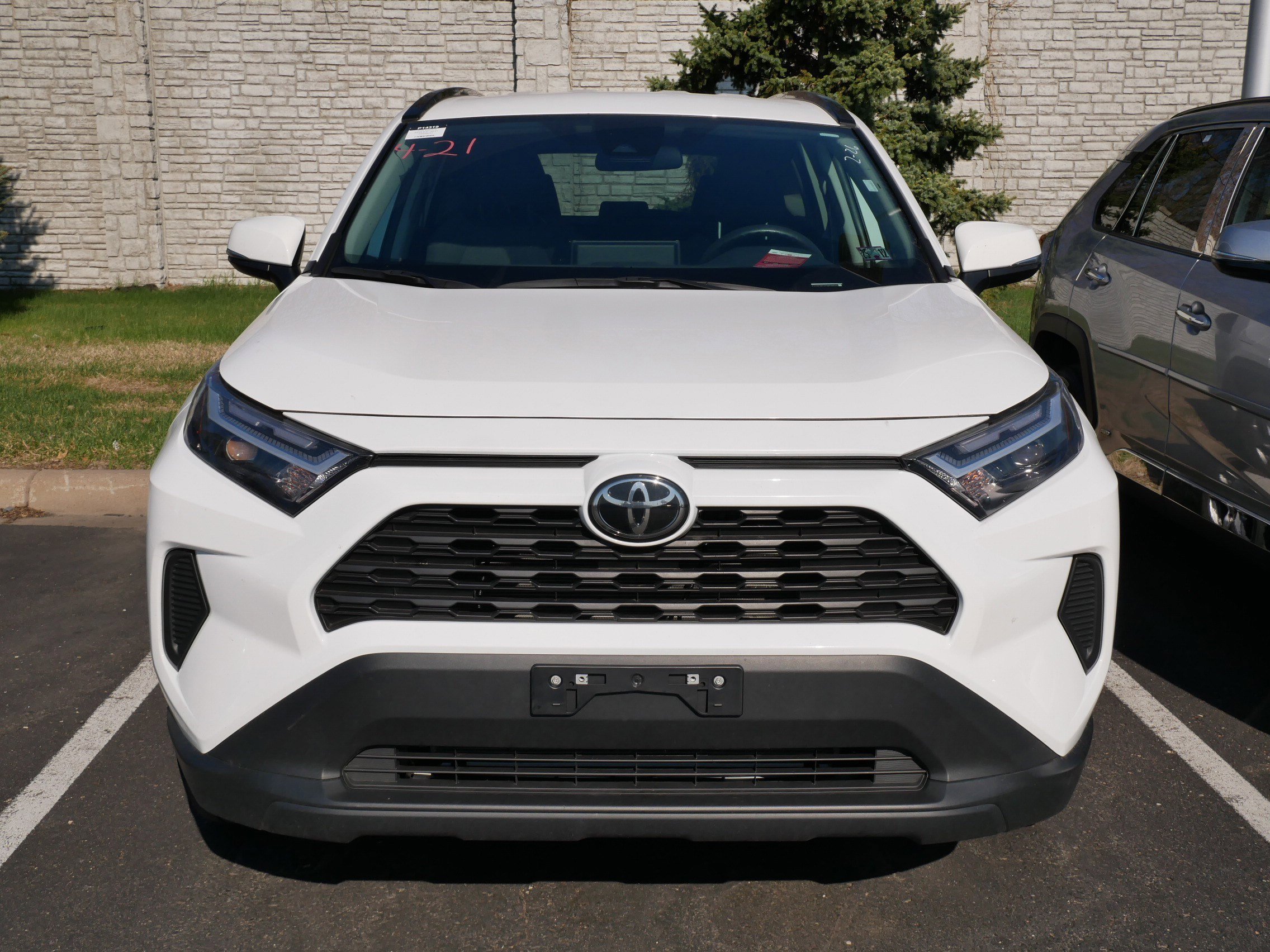 Certified 2025 Toyota RAV4 XLE with VIN 2T3P1RFV7SW508645 for sale in Brooklyn Center, Minnesota