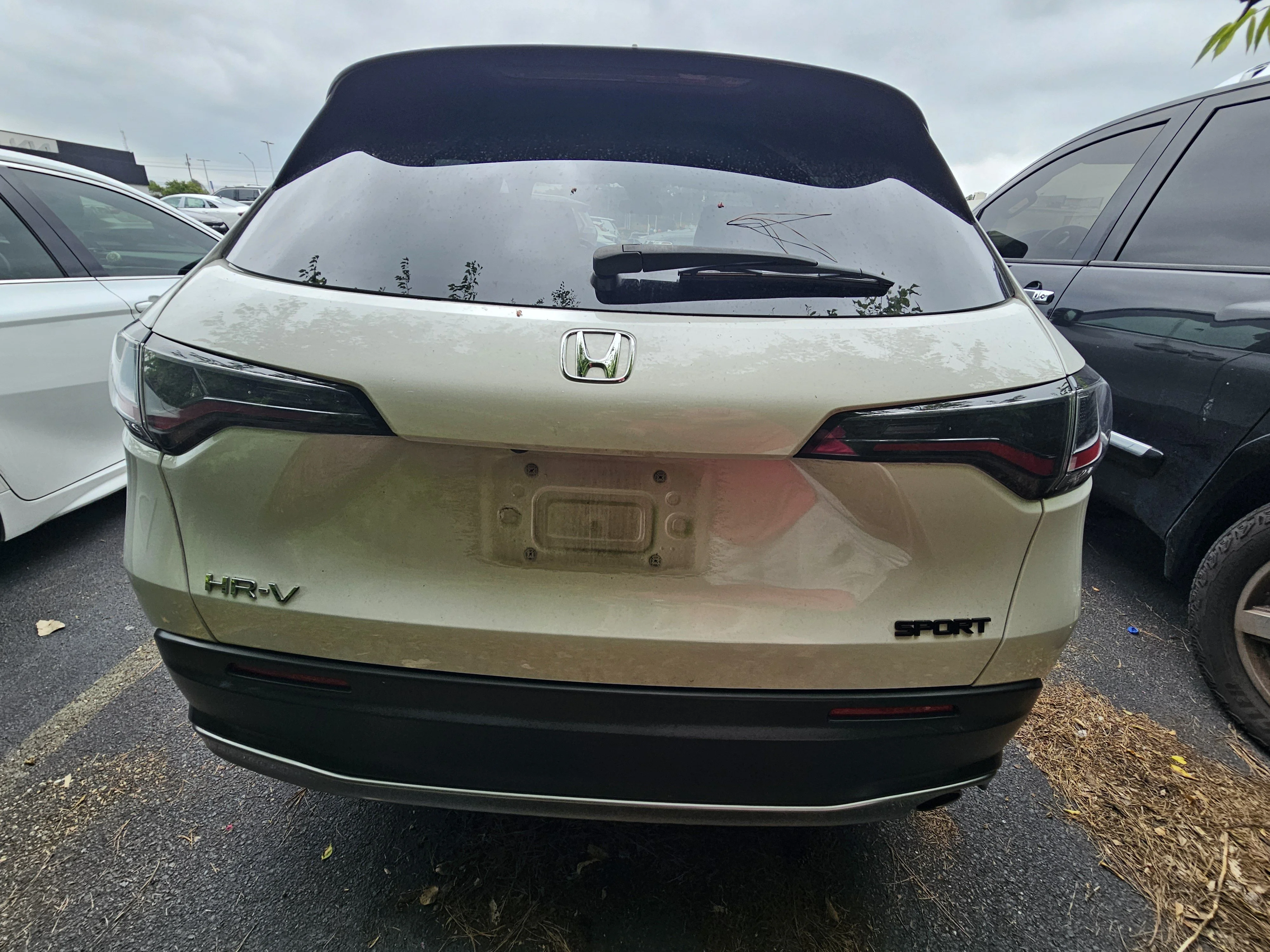Used 2023 White Honda Sport image 8