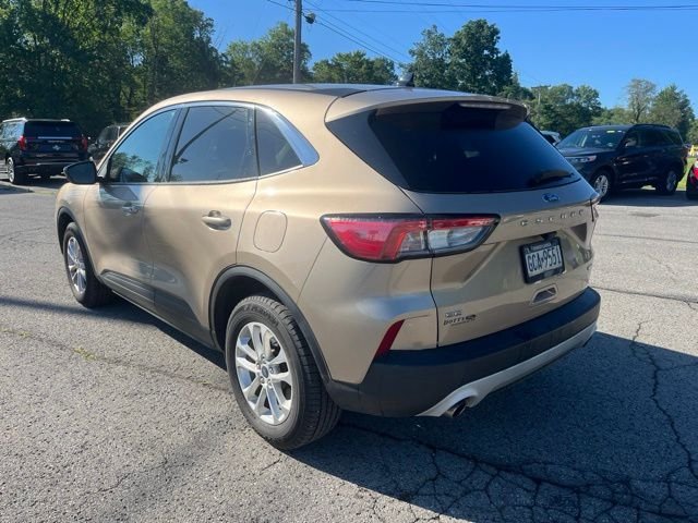 Used 2020 Desert Gold Metallic Ford SE image 8
