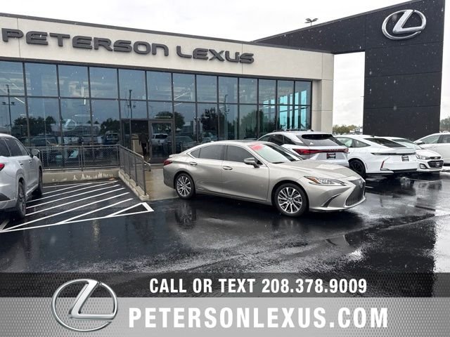 2019 Lexus ES 300h Premium