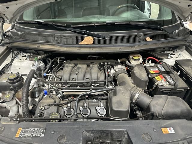 Certified Used 2019 White Ford XLT image 22
