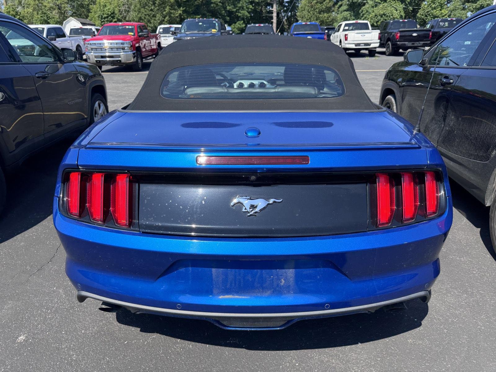 Used 2017 Lightning Blue Ford EcoBoost Premium image 5