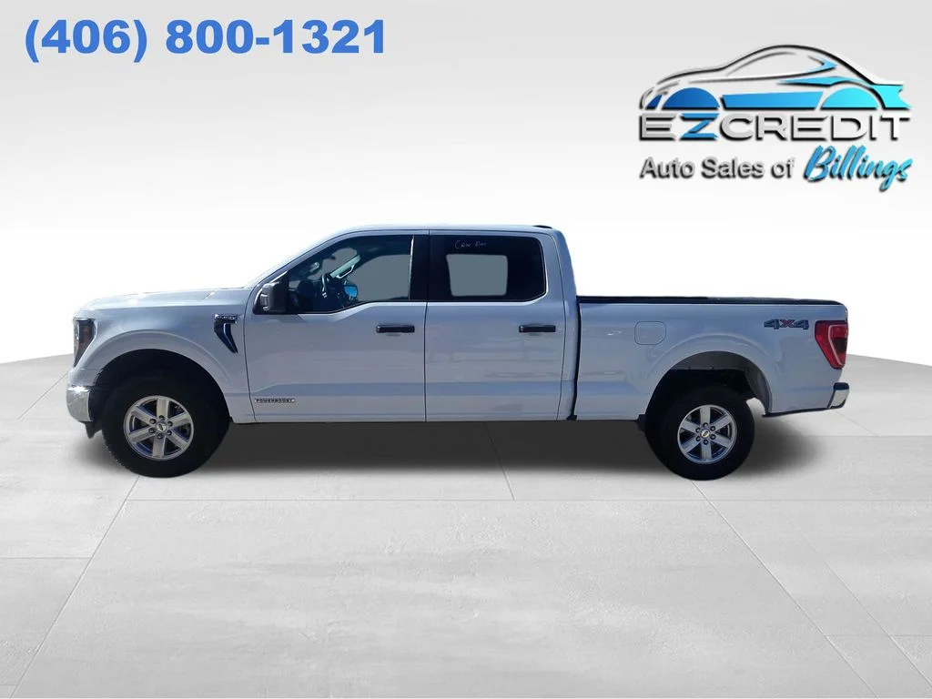 2023 Ford F-150 XL 4x4 SuperCrew 5-1/2 Box's photo
