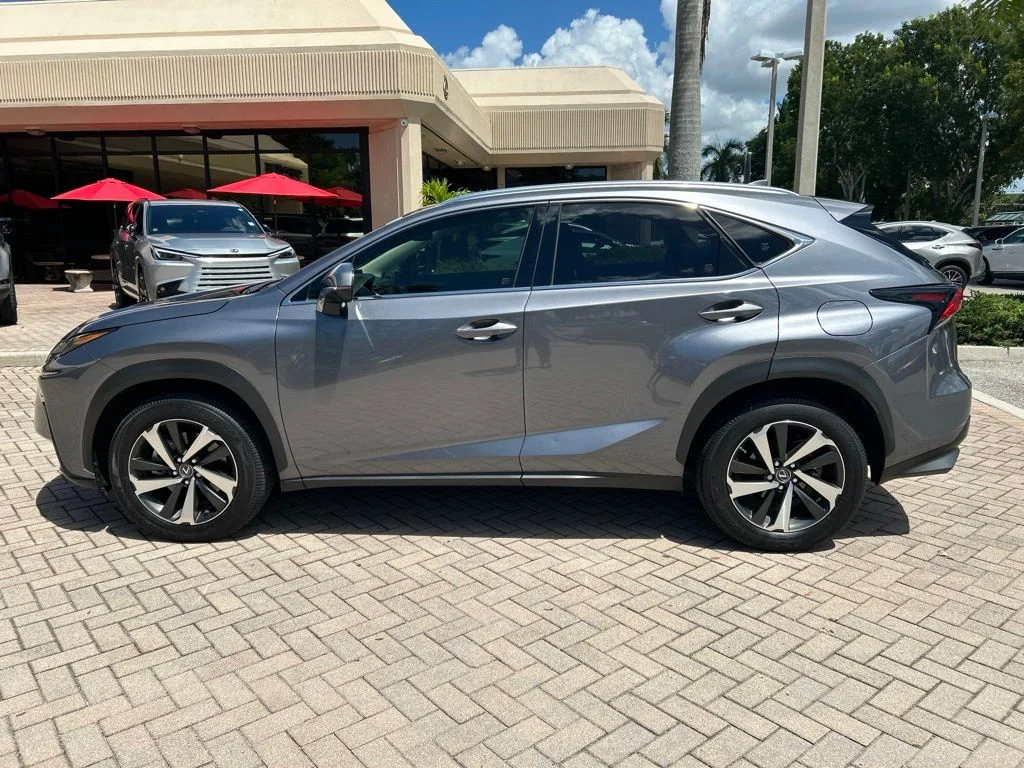 Certified Used 2020 NEBULA GRAY PEARL Lexus 300 Base image 6