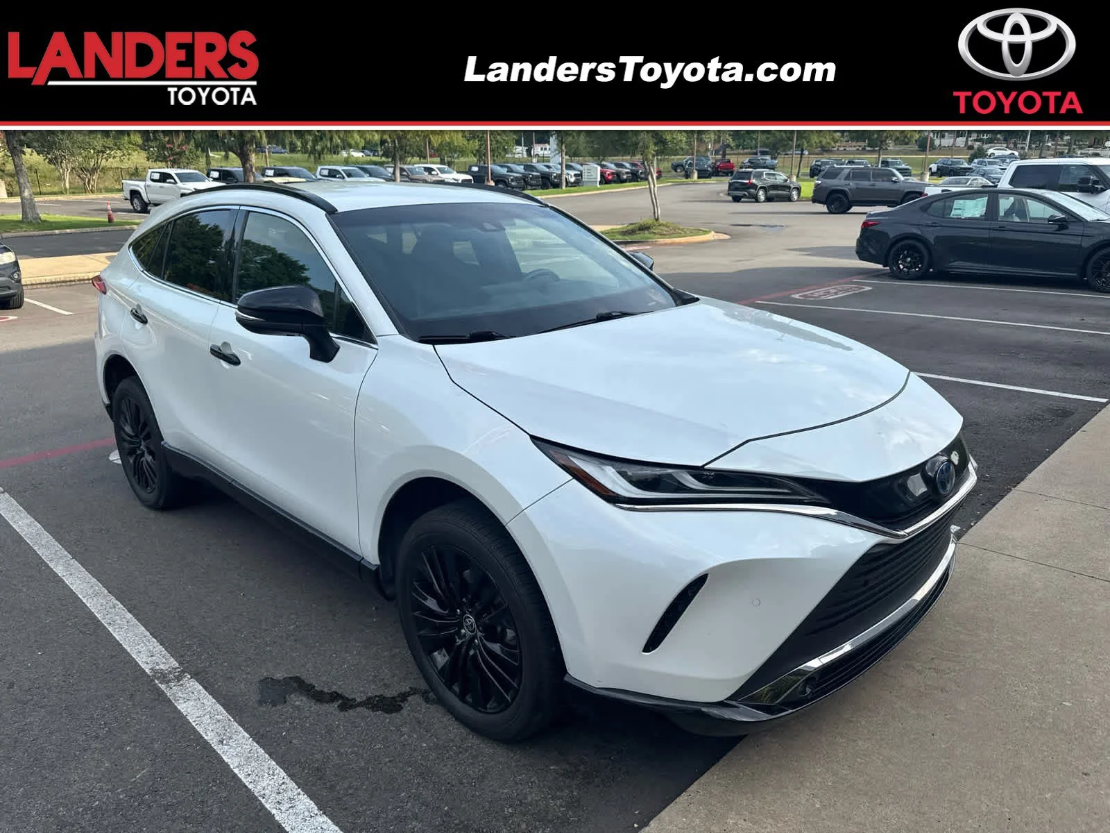 2023 Toyota Venza