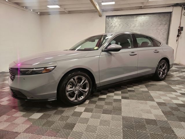 Used 2024 Gray Honda EX-L image 4