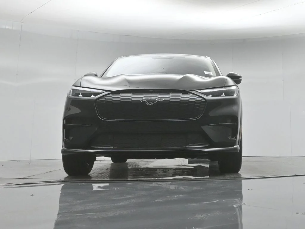 New 2026 Shadow Black Ford Premium image 43
