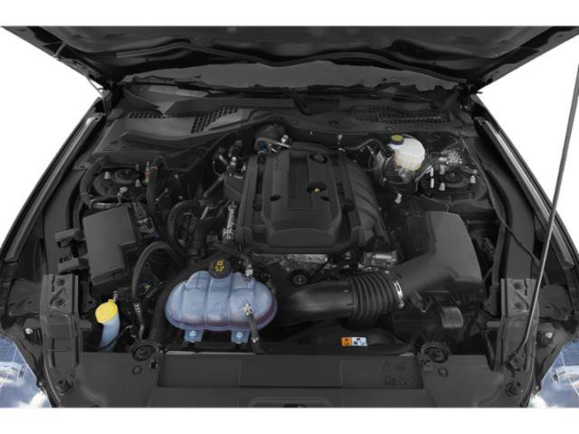 Used 2020 Shadow Black Ford EcoBoost image 16