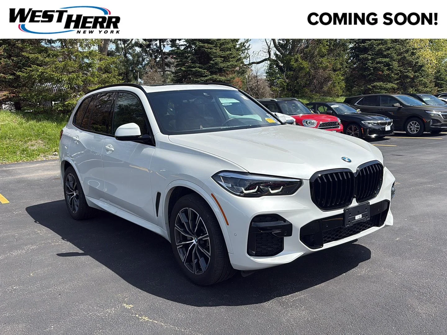 2023 BMW X5 xDrive40i's photo