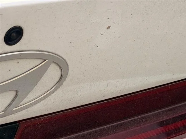 Used 2024 White Hyundai SEL image 17