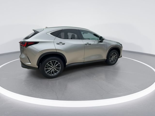 2025 Lexus NX 250 - Photo 8
