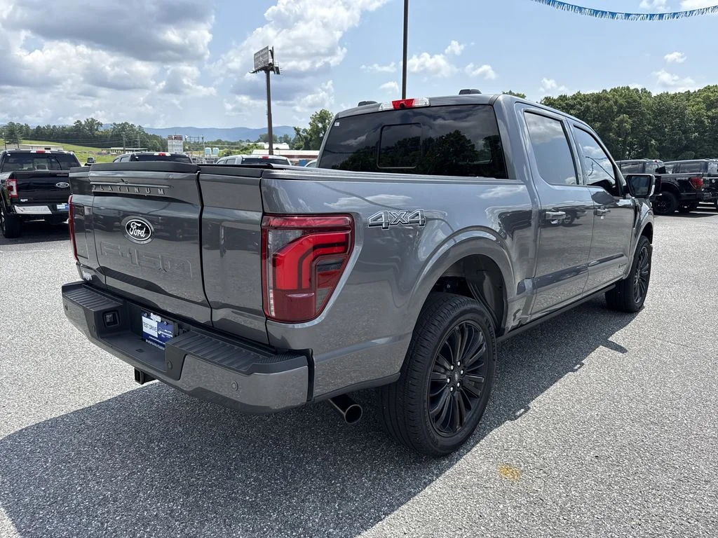 Used 2025 Gray Ford Platinum image 7