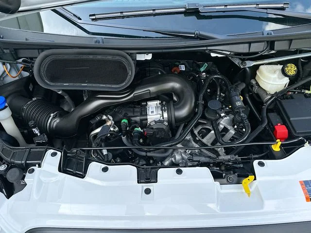 New 2026 White Ford Base image 21
