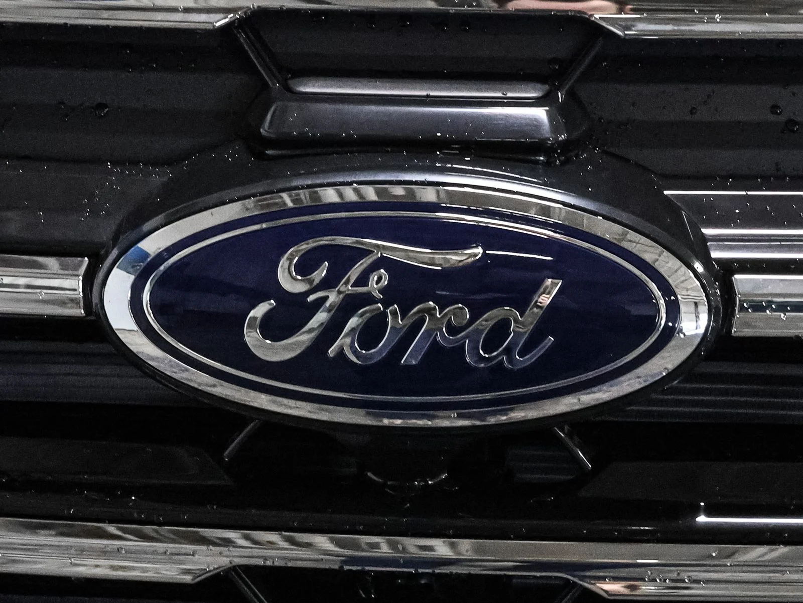 New 2026 Agate Black Metallic Ford Active image 13