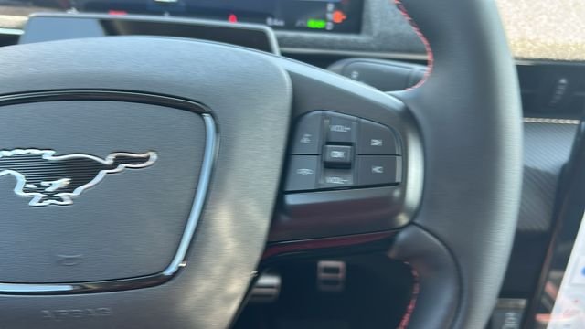 2025 Ford Mustang Mach-E Premium - Photo 25