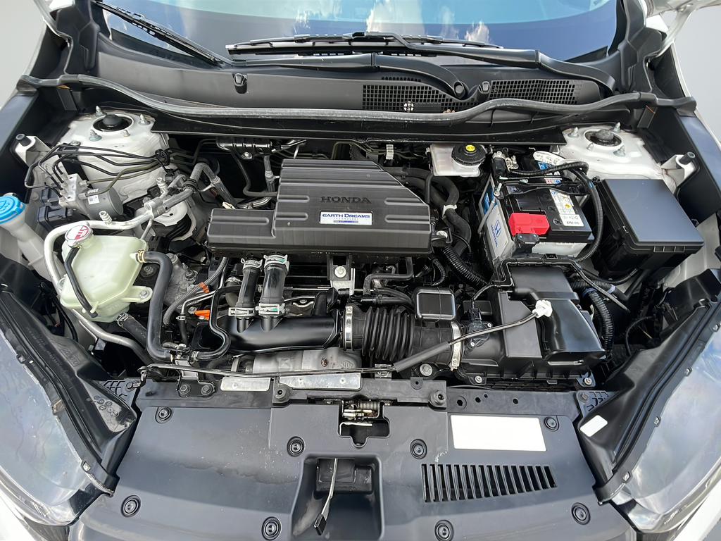 Used 2020 White Honda LX image 36