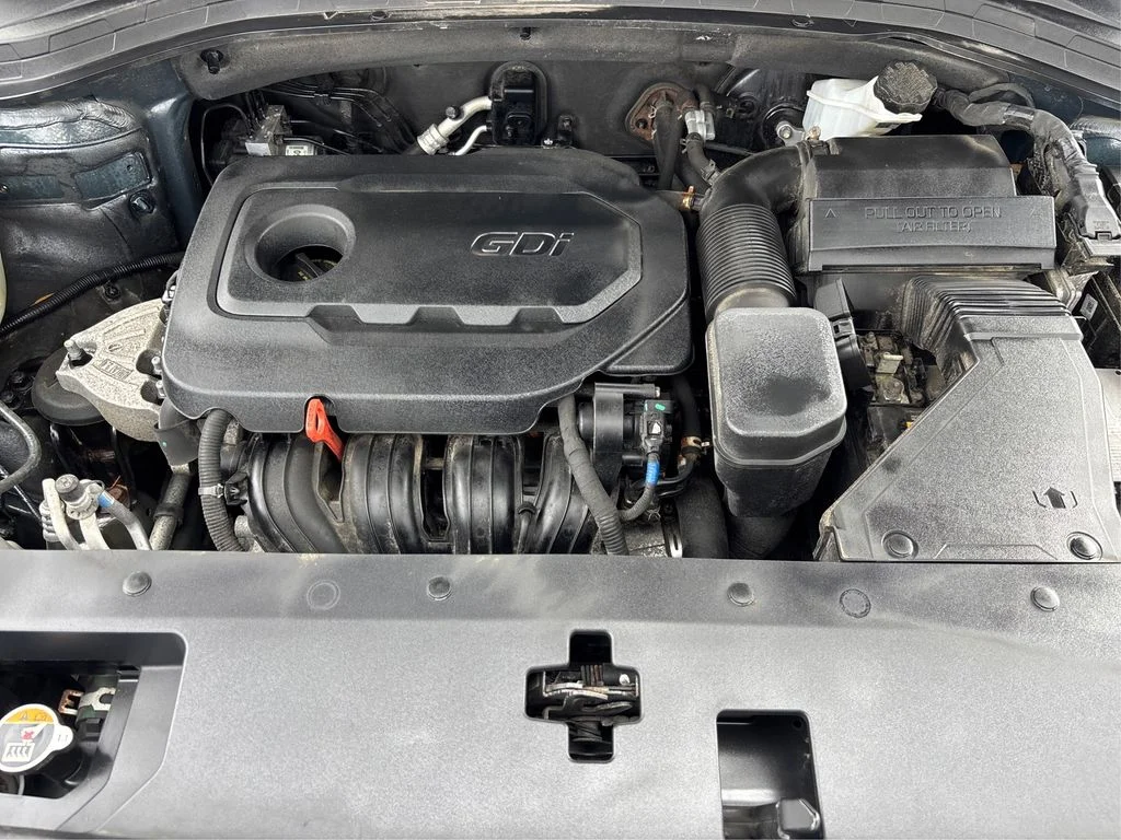 Used 2020 Green Hyundai SEL image 13