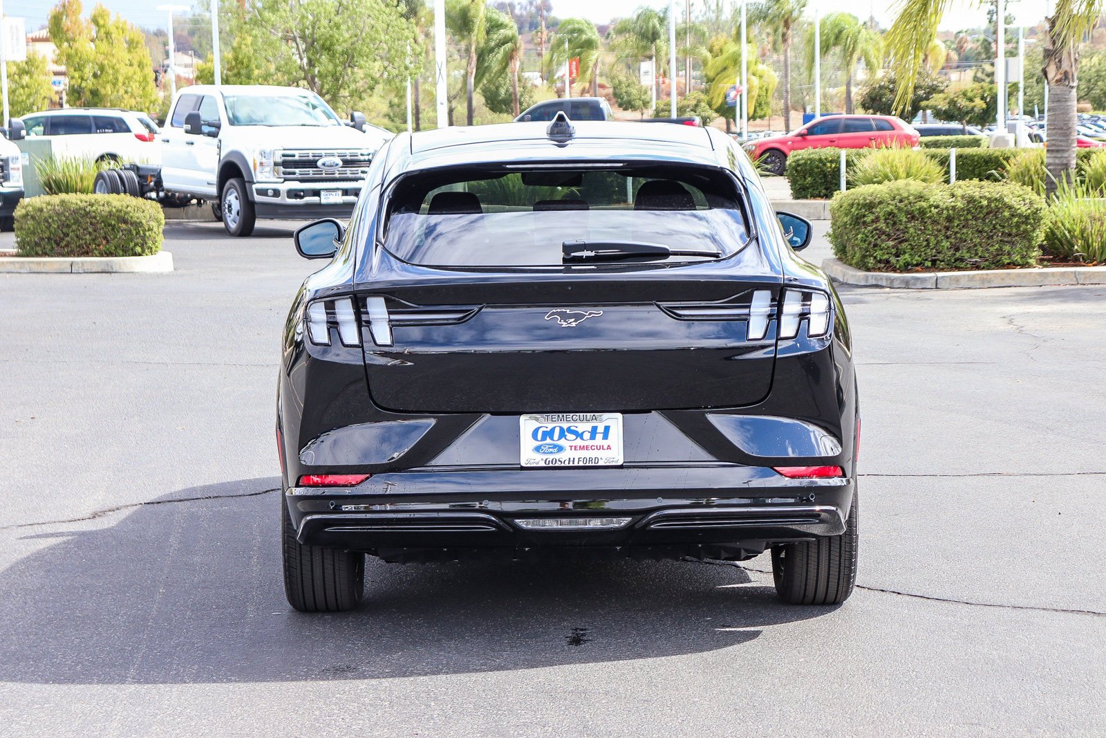 New 2026 Shadow Black Ford Premium image 6