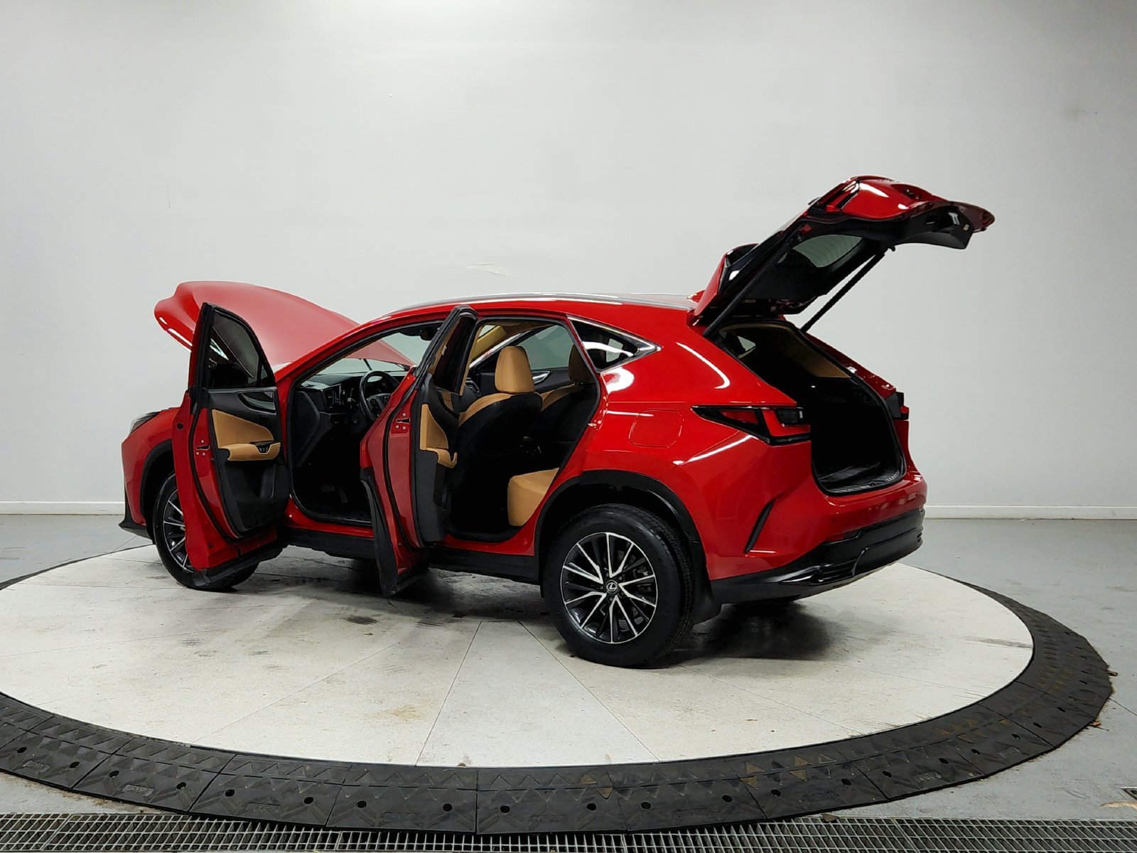Photo 14