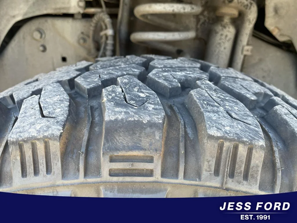Used 2018 Magnetic Ford Platinum image 11