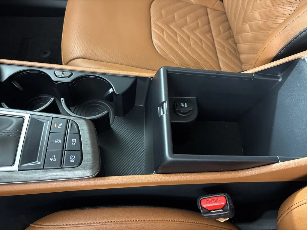 New 2026 Panthera Metal Matte Kia X-Line image 47