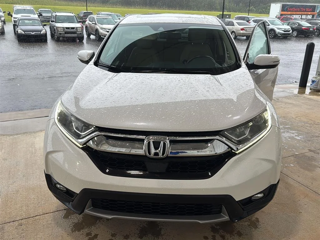 Used 2019 Platinum White Pearl honda EX-L 2WD image 1