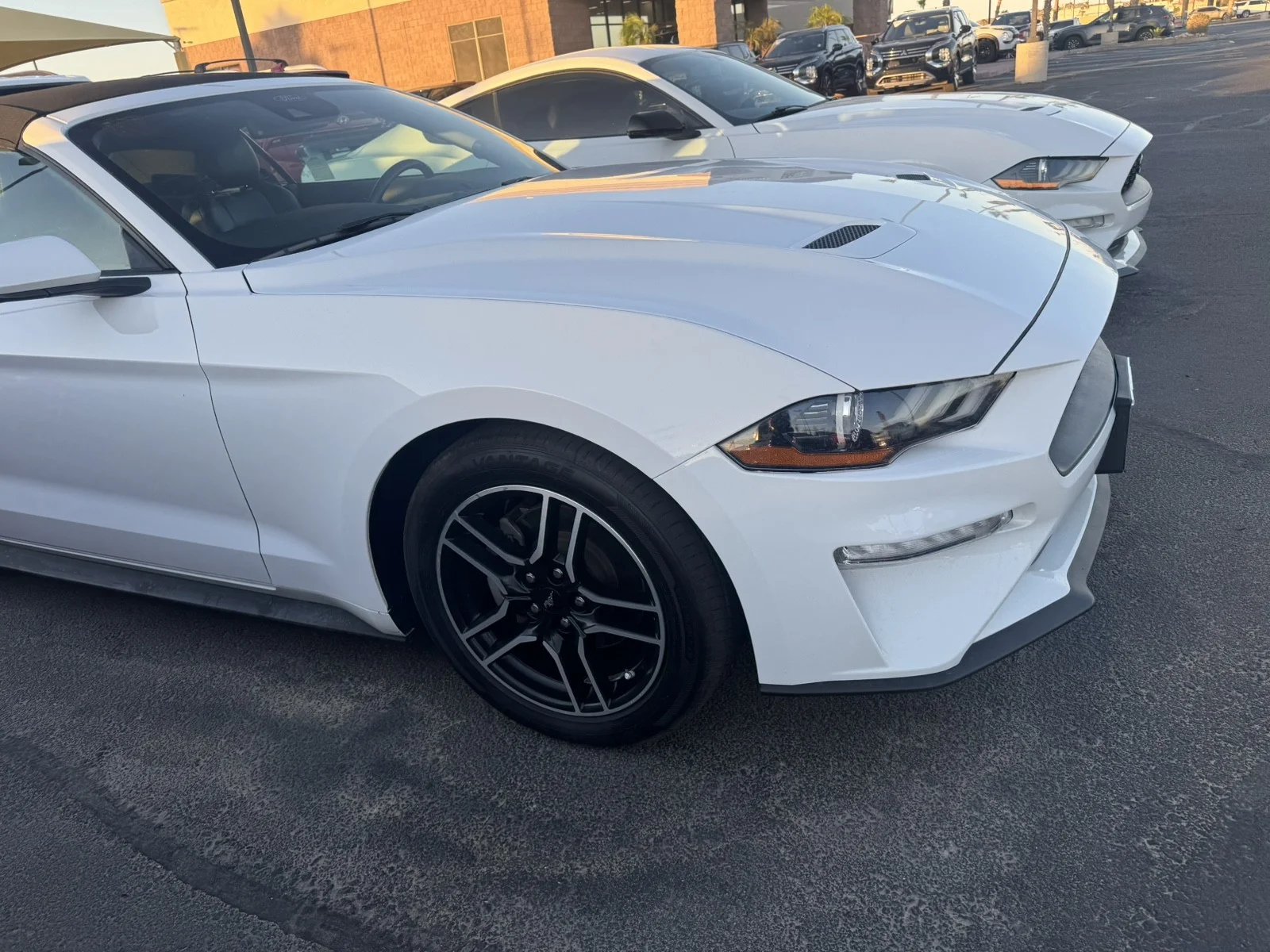 Used 2023  Ford EcoBoost image 4