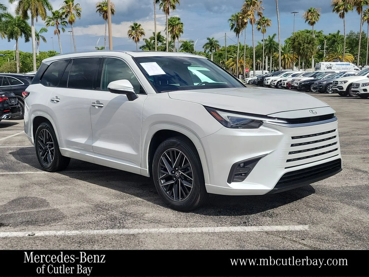 2024 Lexus TX 350 350 Luxury FWD's photo