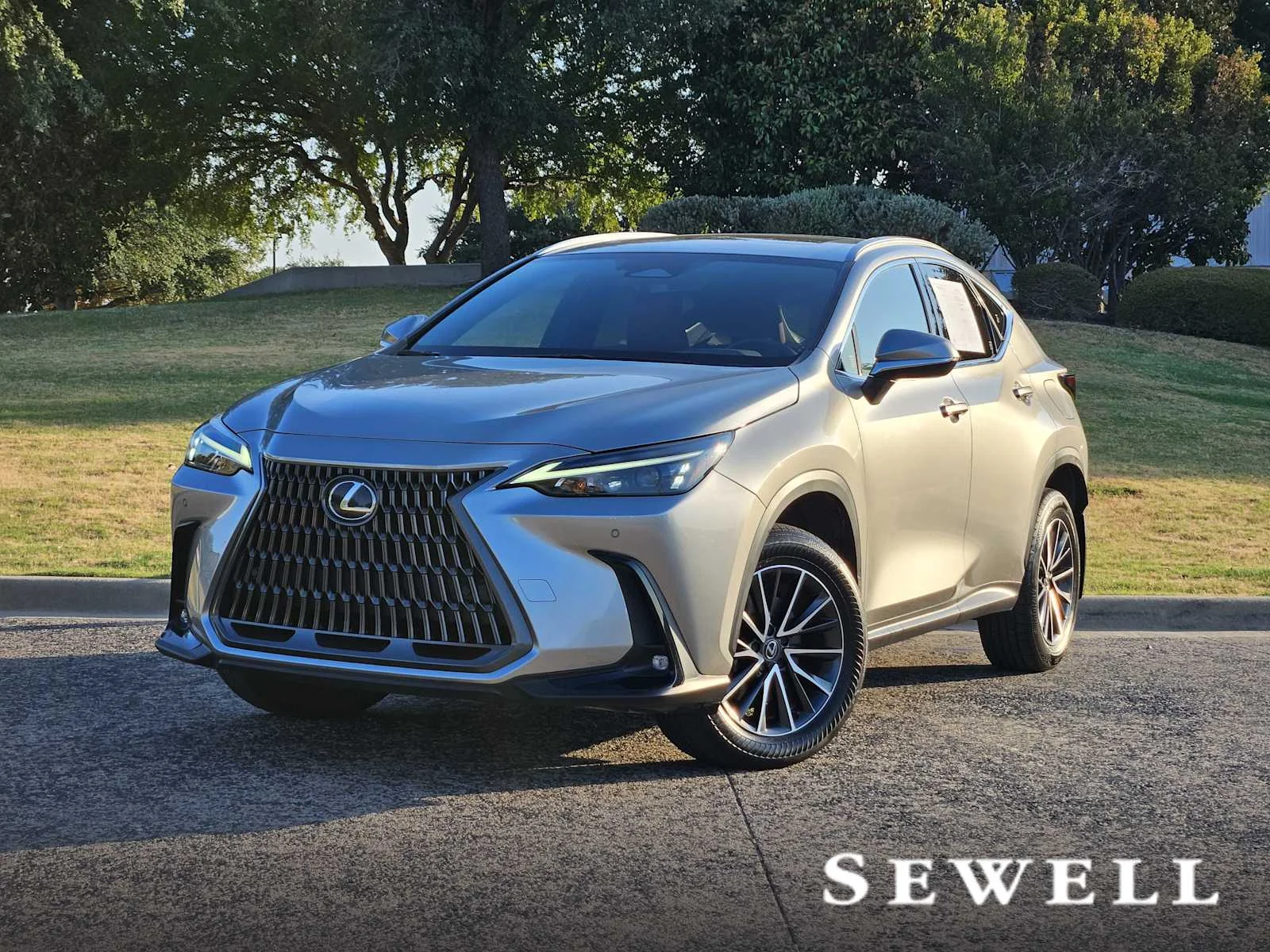 2024 Lexus NX 350 Premium