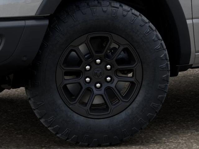 New 2026 Silver Zynith Exterior Paint RAM Rebel image 4