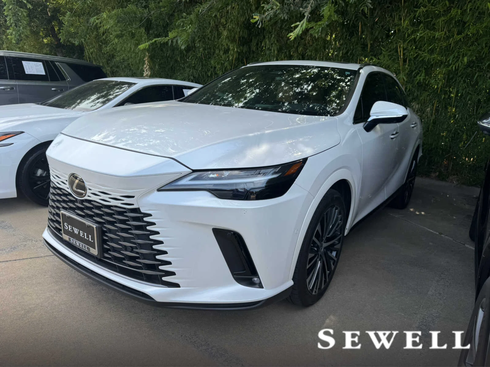 2025 Lexus RX 350 350 Premium Plus FWD's photo