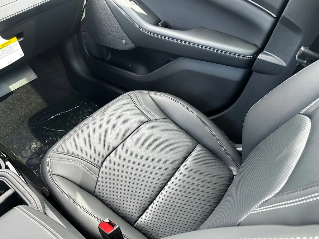 New 2026 Shadow Black Ford Premium image 9