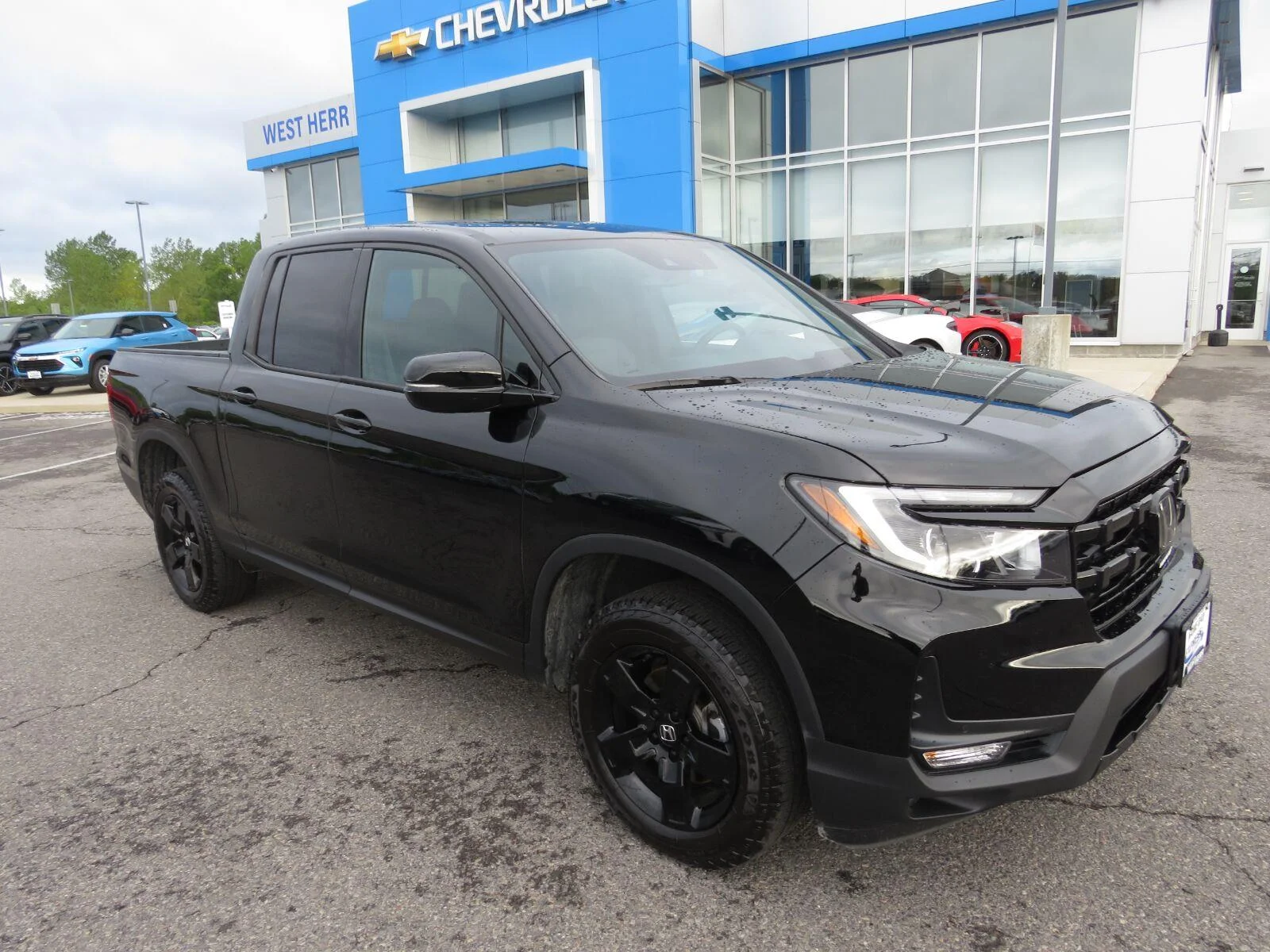 Used 2024  Honda Black Edition image 4