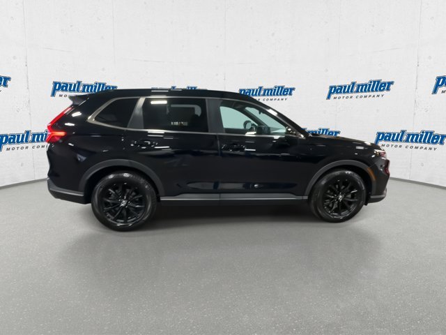 Used 2023 Black Honda Sport image 12