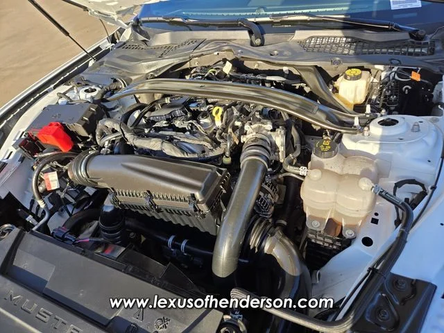 Used 2025 White Ford EcoBoost Premium image 18