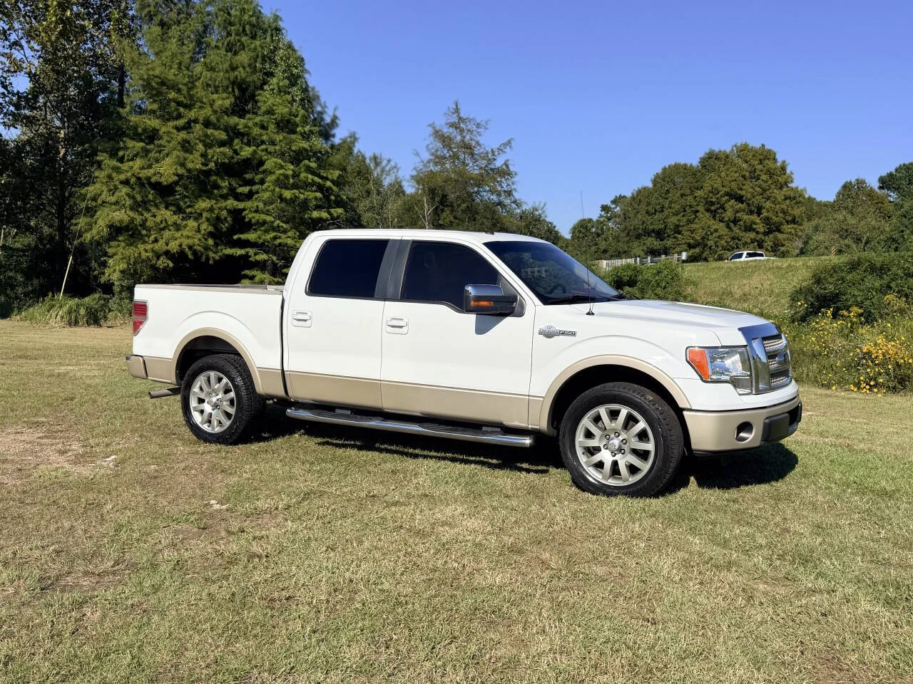 Used 2010 White Ford King Ranch 4x2 4dr SuperCrew Styleside 5.5 ft. SB image 7
