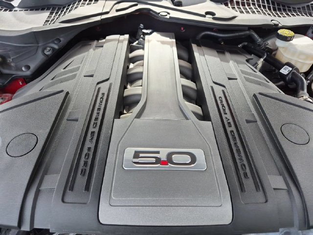 Used 2019 Race Red Ford GT image 19