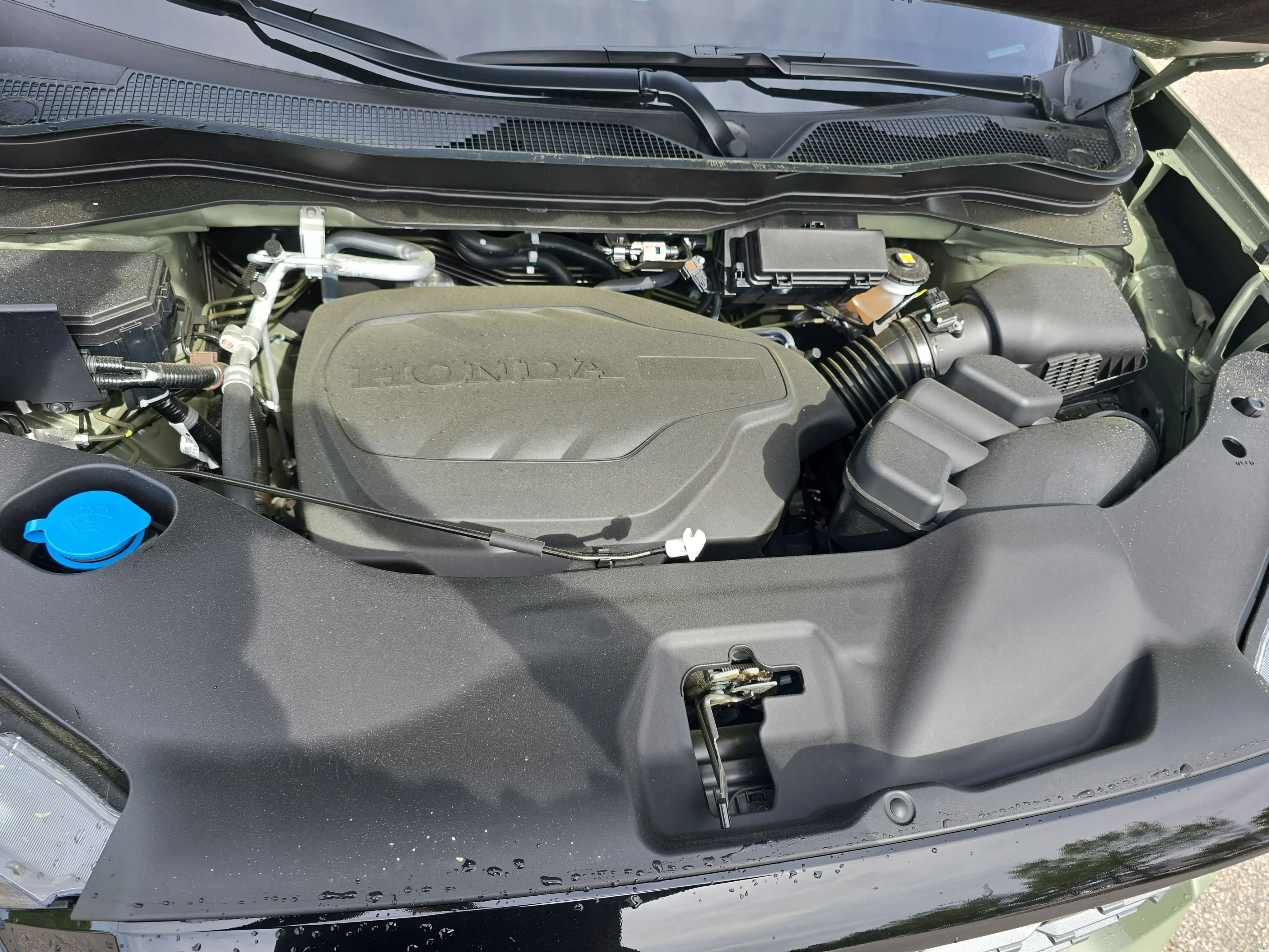 New 2026 Ash Green Metallic Honda TrailSport image 32