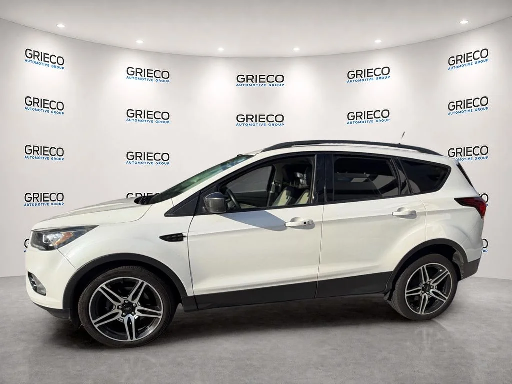 Used 2019 White Ford SEL image 4