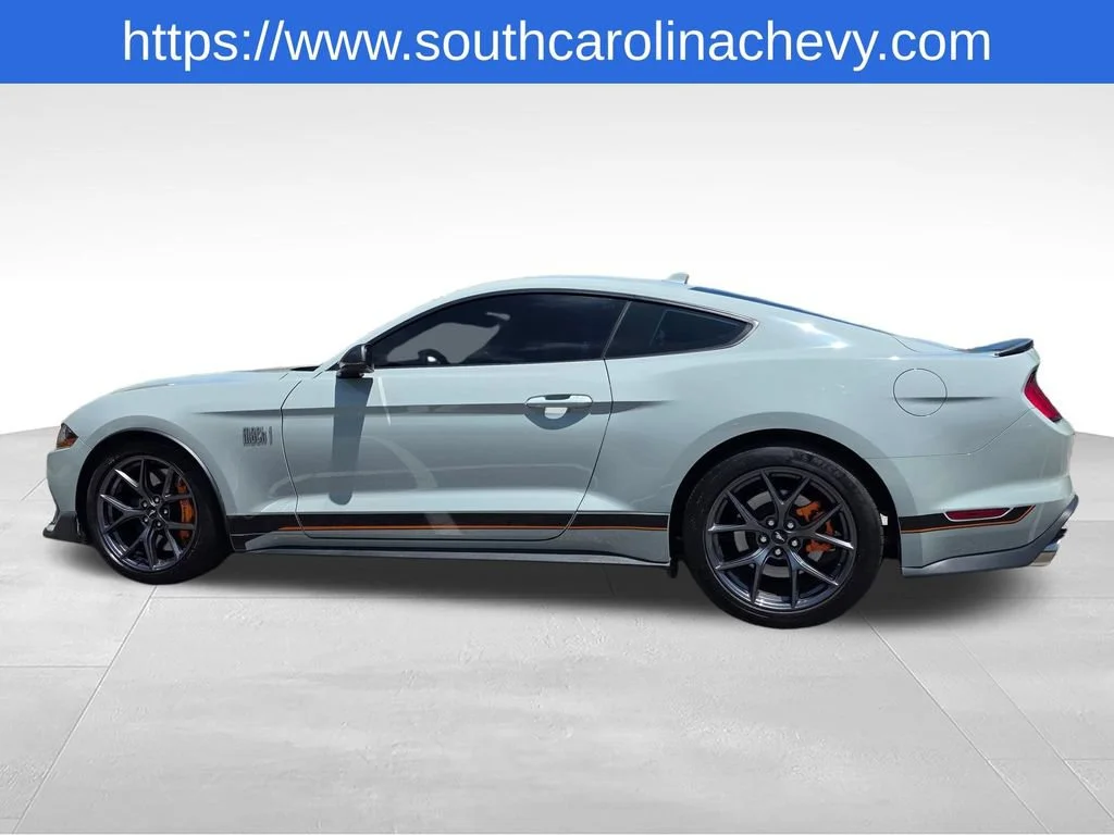 Used 2023 Gray Ford Mach 1 Fastback image 39