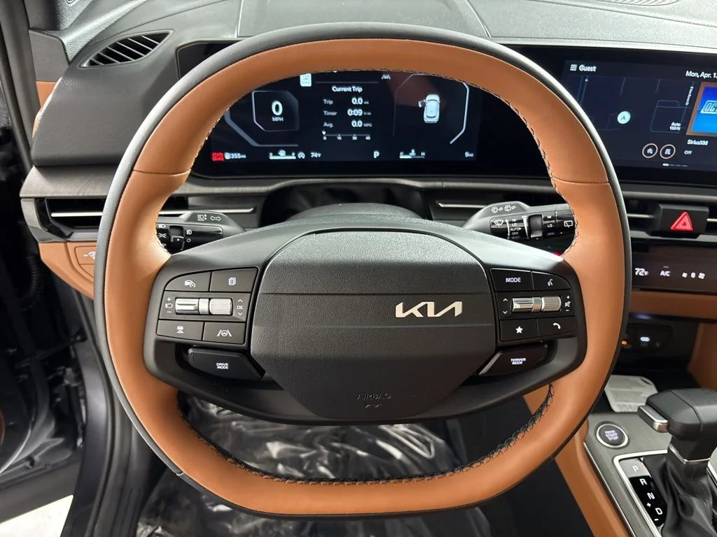 New 2026 Panthera Metal Matte Kia X-Line image 31